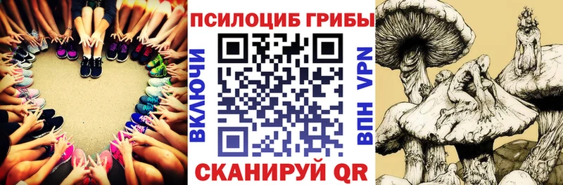 Псилоцибиновые грибы мухоморы Пермь